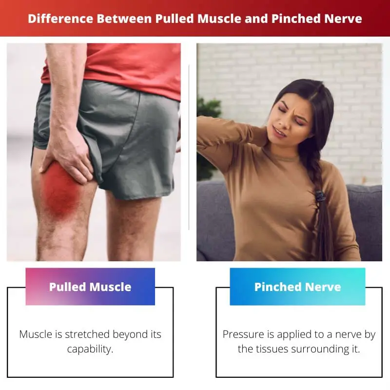 Difference Between Pulled Muscle and Pinched Nerve