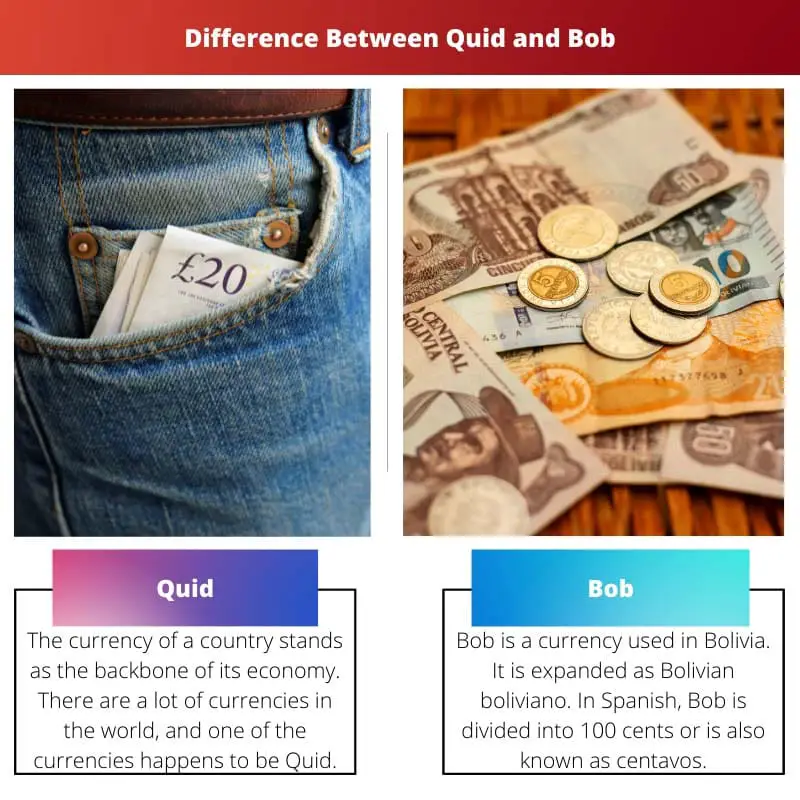 Difference Between Quid and Bob