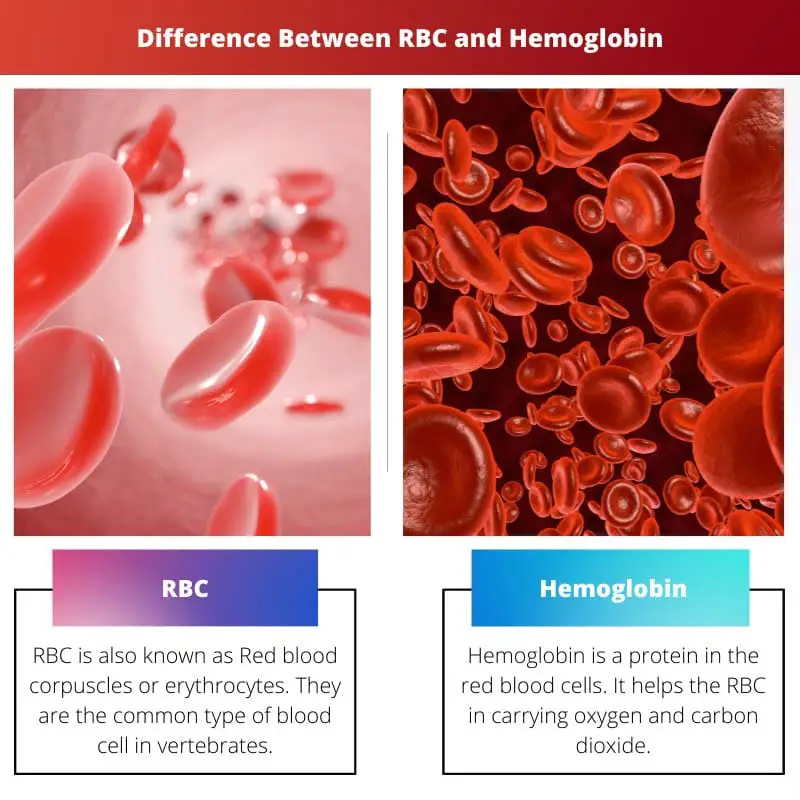 Difference Between RBC and Hemoglobin
