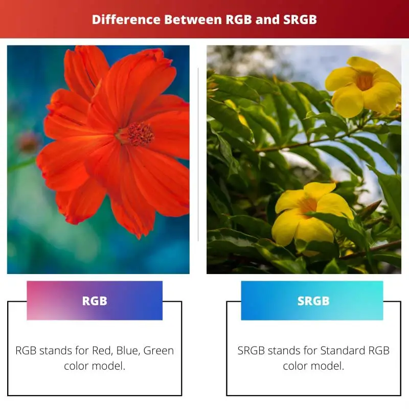 Difference Between RGB and SRGB