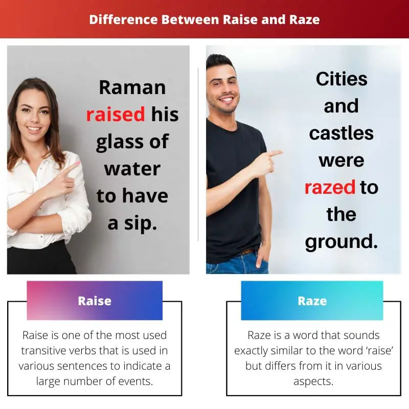 Difference Between Raise and Raze