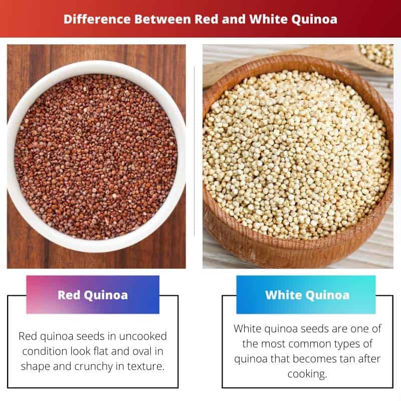 Red vs White Quinoa: Difference and Comparison