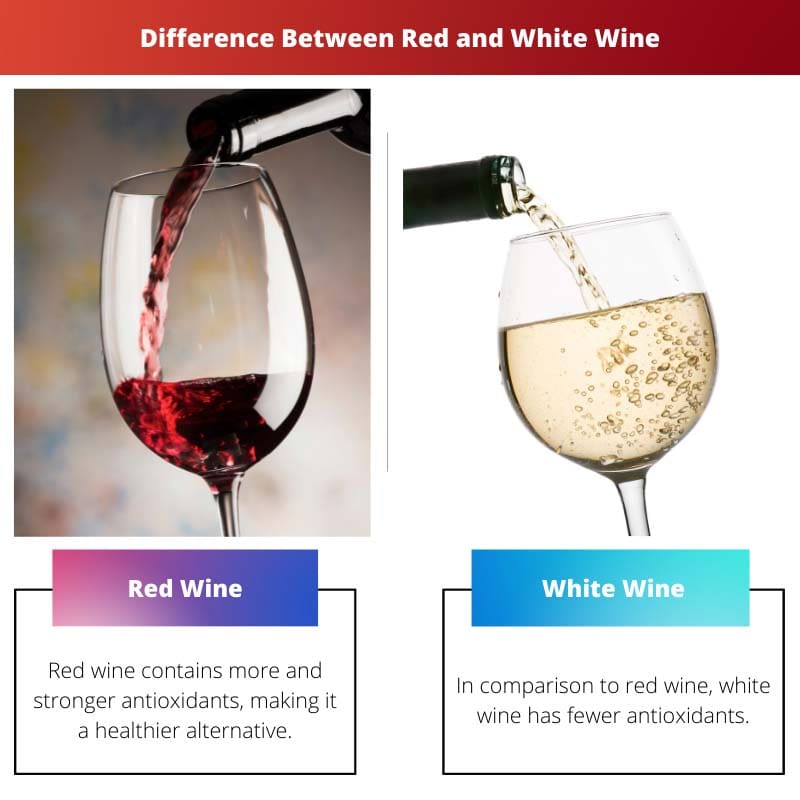 Difference Between Red and White Wine