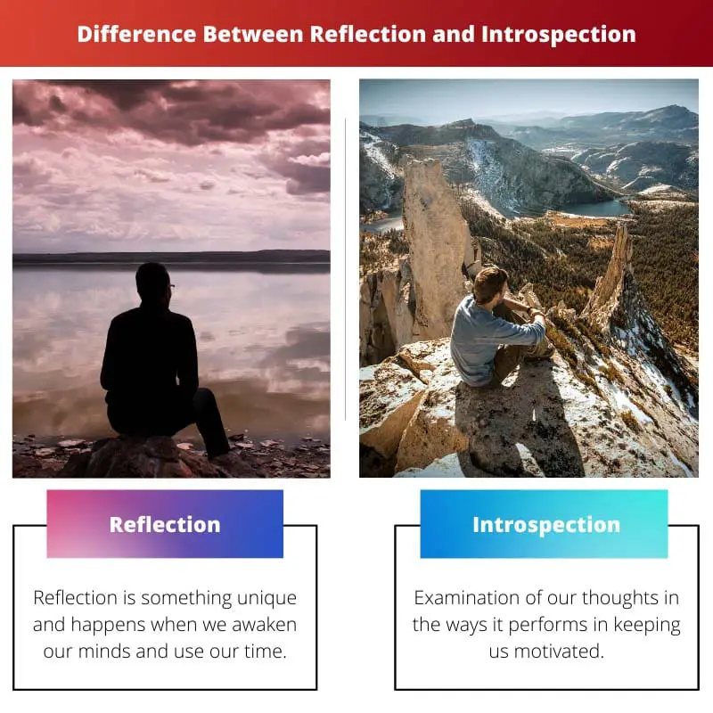 Difference Between Reflection and Introspection