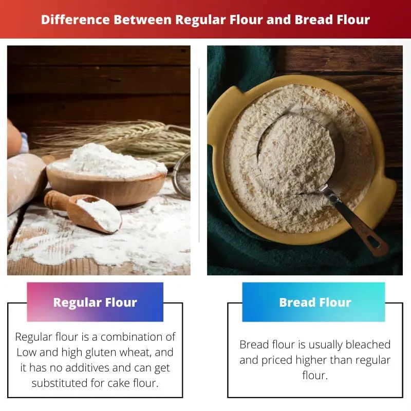 Difference Between Regular Flour and Bread Flour