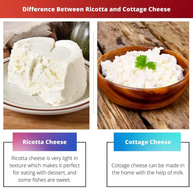 Difference Between Ricotta and Cottage Cheese