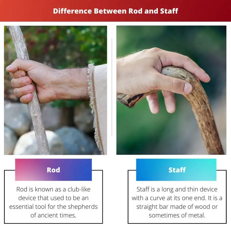 Difference Between Rod and Staff