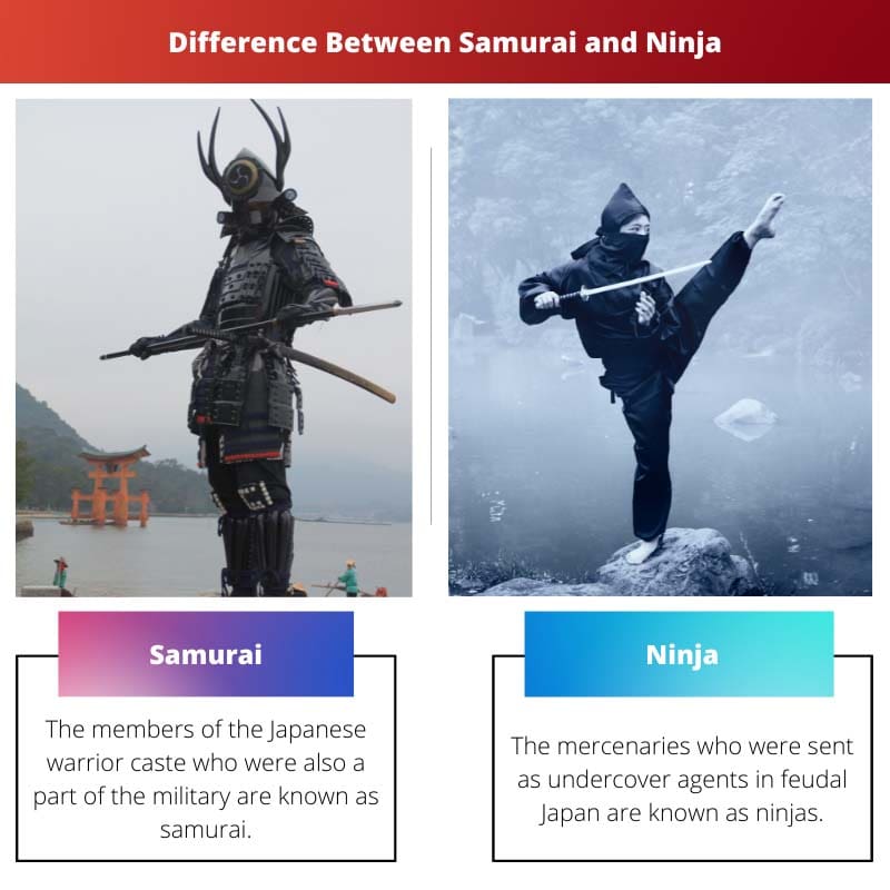 Difference Between Samurai and Ninja