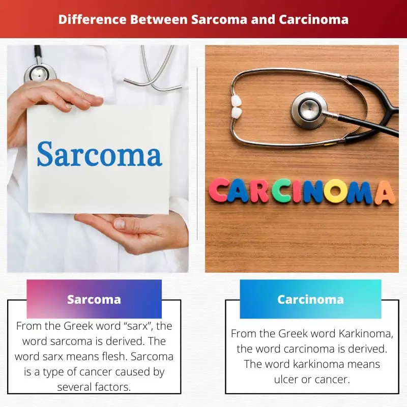 Difference Between Sarcoma and Carcinoma