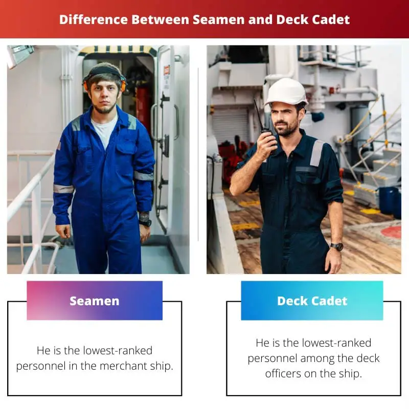 Difference Between Seamen and Deck Cadet