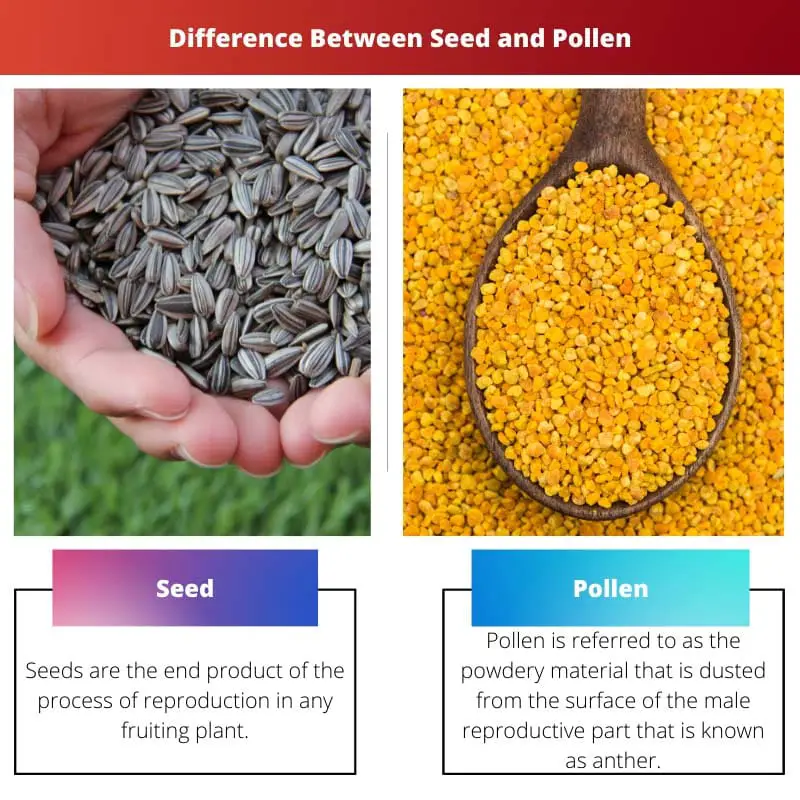 Difference Between Seed and Pollen