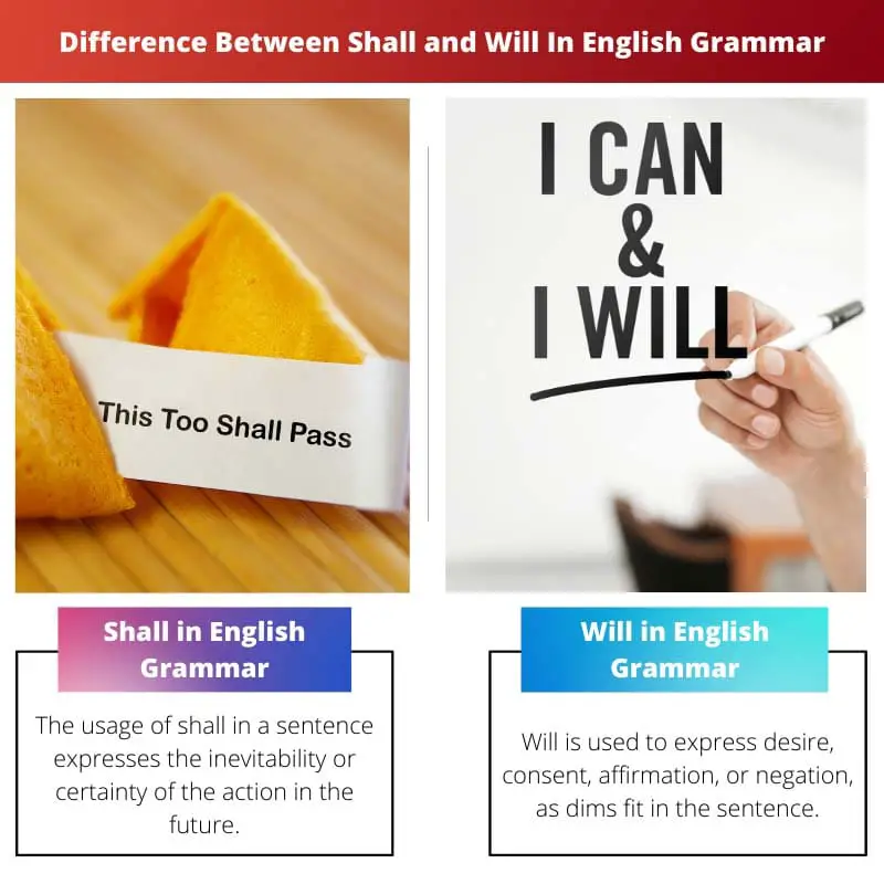 difference between shall and will grammar