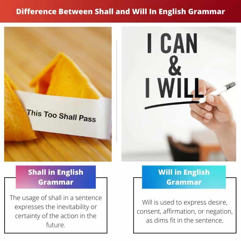  Difference Between Shall And Will Grammar Shall Vs Will Difference 