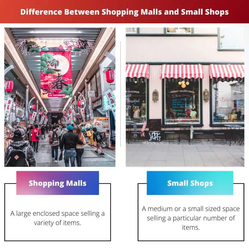 Difference Between Shopping Malls and Small Shops