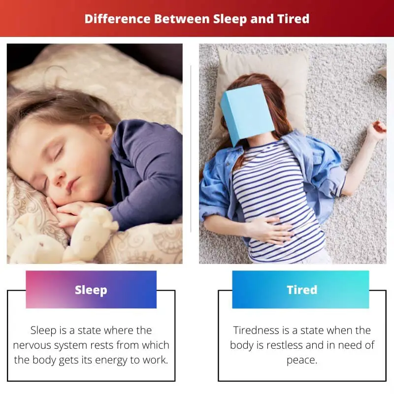 Difference Between Sleep and Tired
