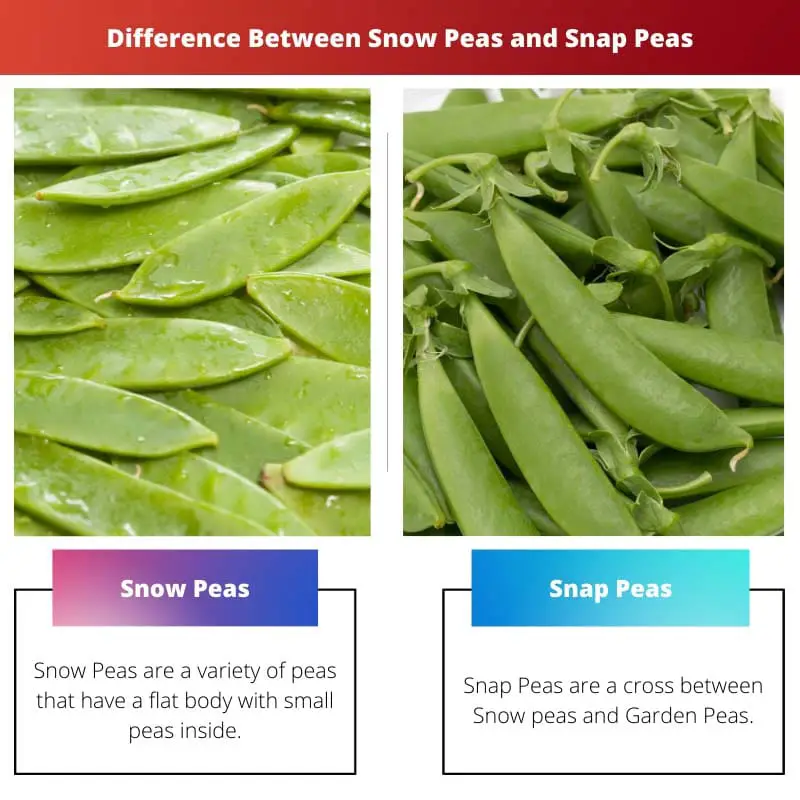 Difference Between Snow Peas and Snap Peas