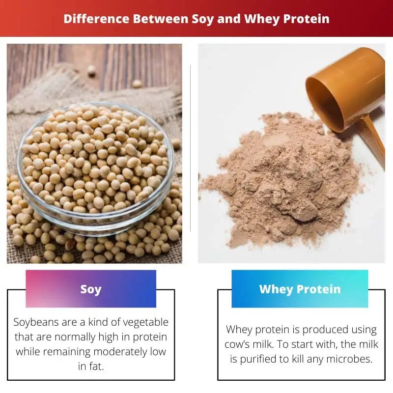 Difference Between Soy and Whey Protein