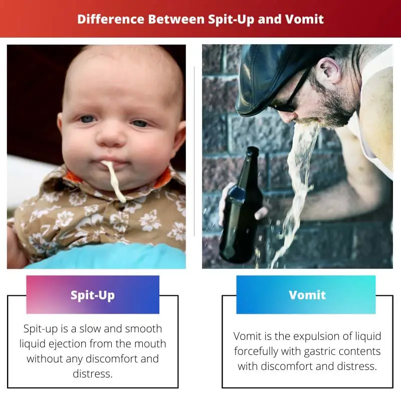 Difference Between Spit Up and Vomit