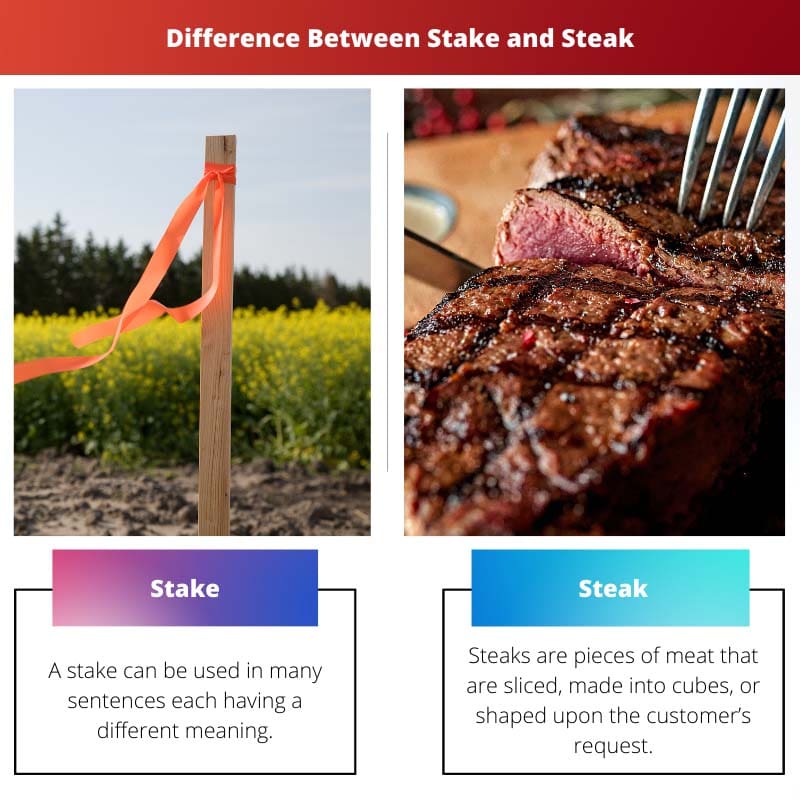 Difference Between Stake and Steak