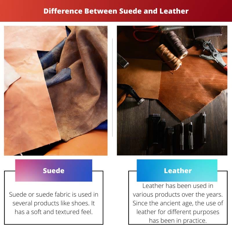Difference Between Suede and Leather