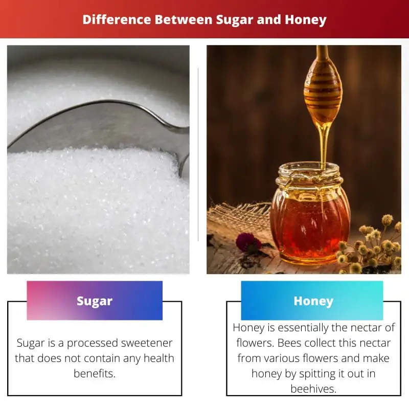 Difference Between Sugar and Honey