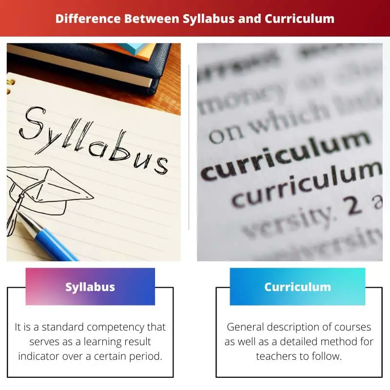 Difference Between Syllabus and Curriculum