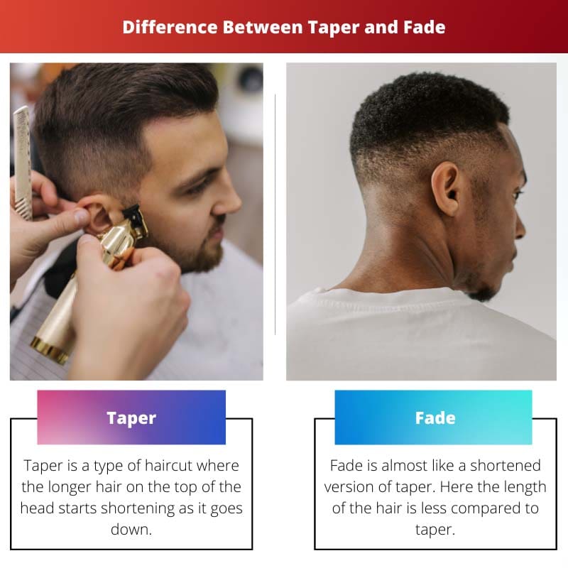 Difference Between Taper and Fade