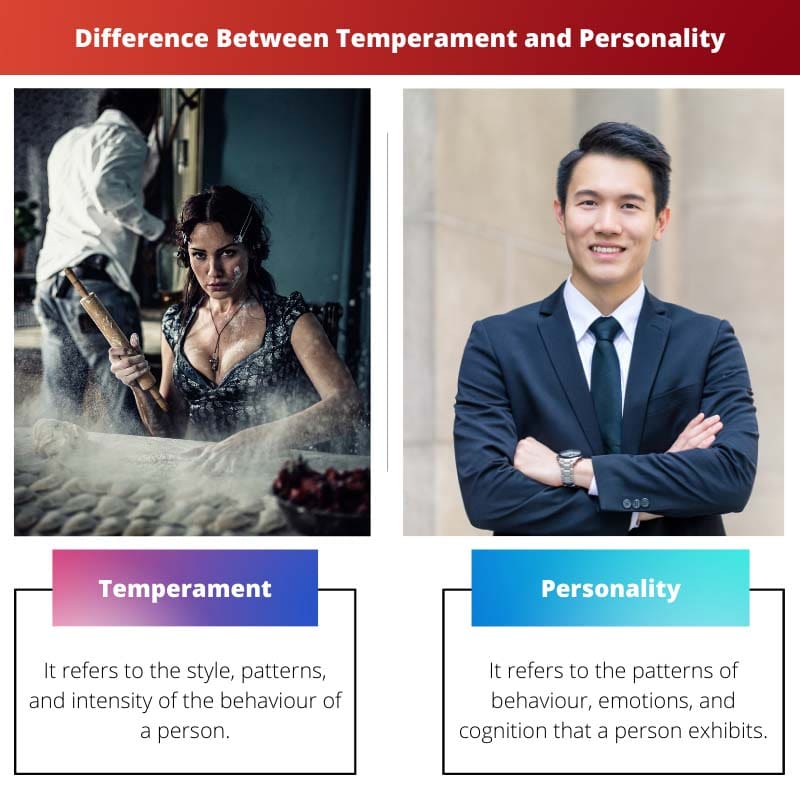 Difference Between Temperament and Personality