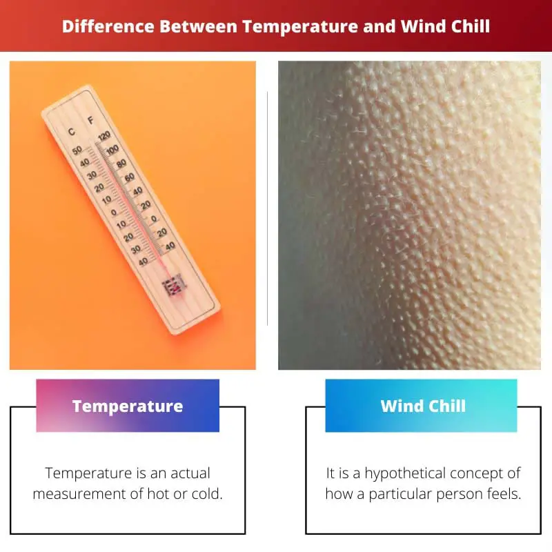Difference Between Temperature and Wind Chill