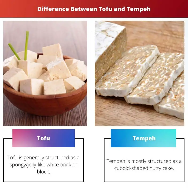 Difference Between Tofu and Tempeh