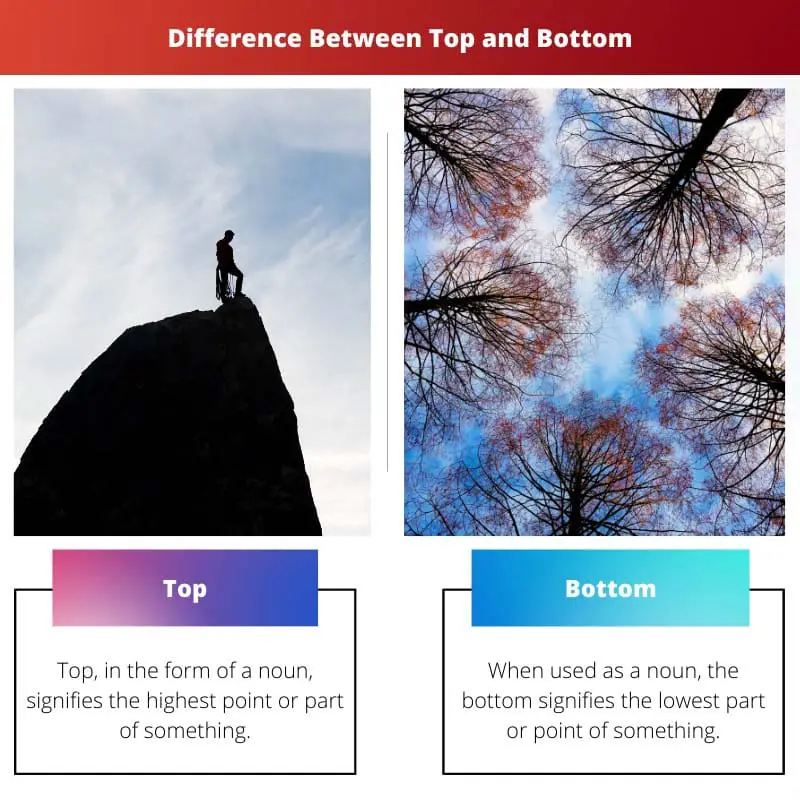 Difference Between Top and Bottom