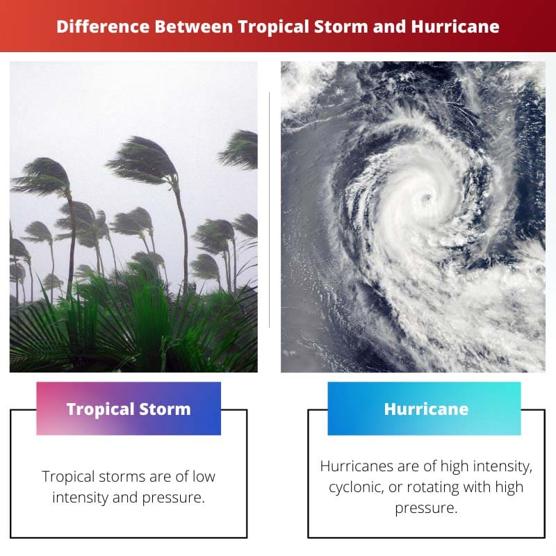 Difference Between Tropical Storm and Hurricane