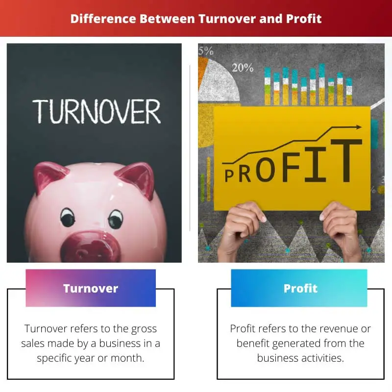 Difference Between Turnover and Profit
