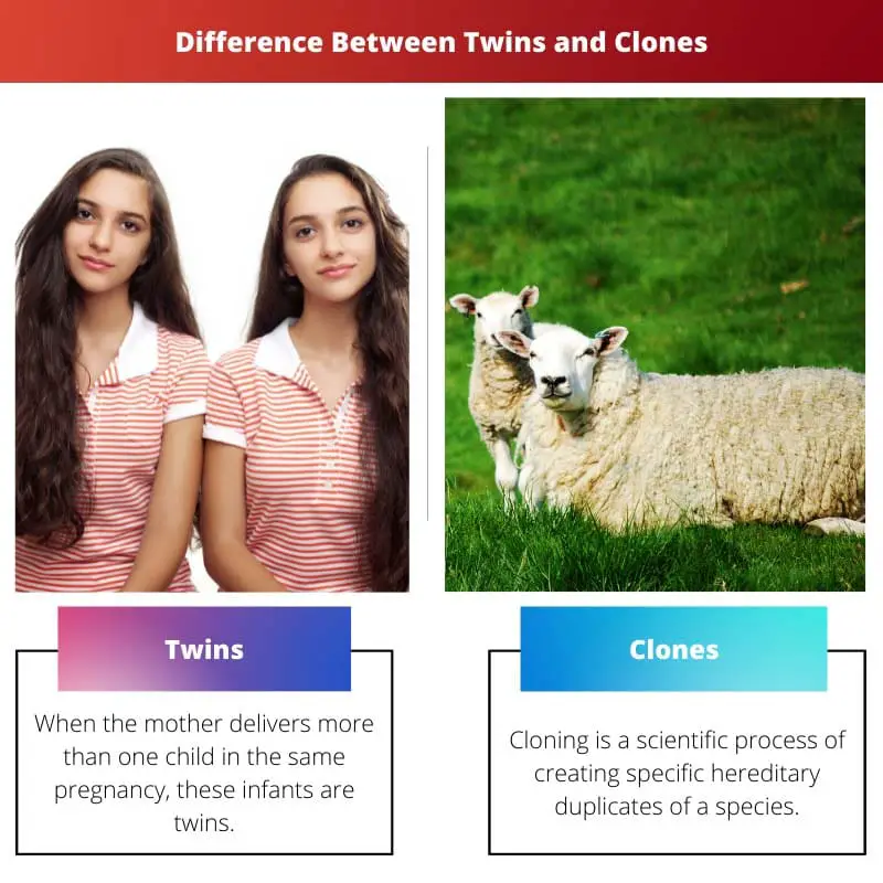Difference Between Twins and Clones