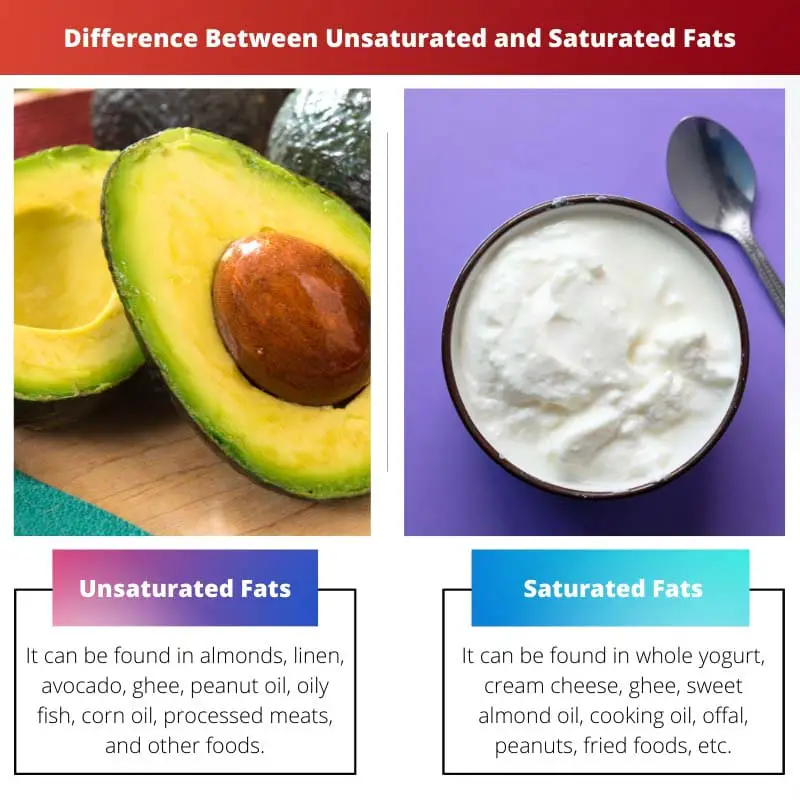 Difference Between Unsaturated and Saturated Fats