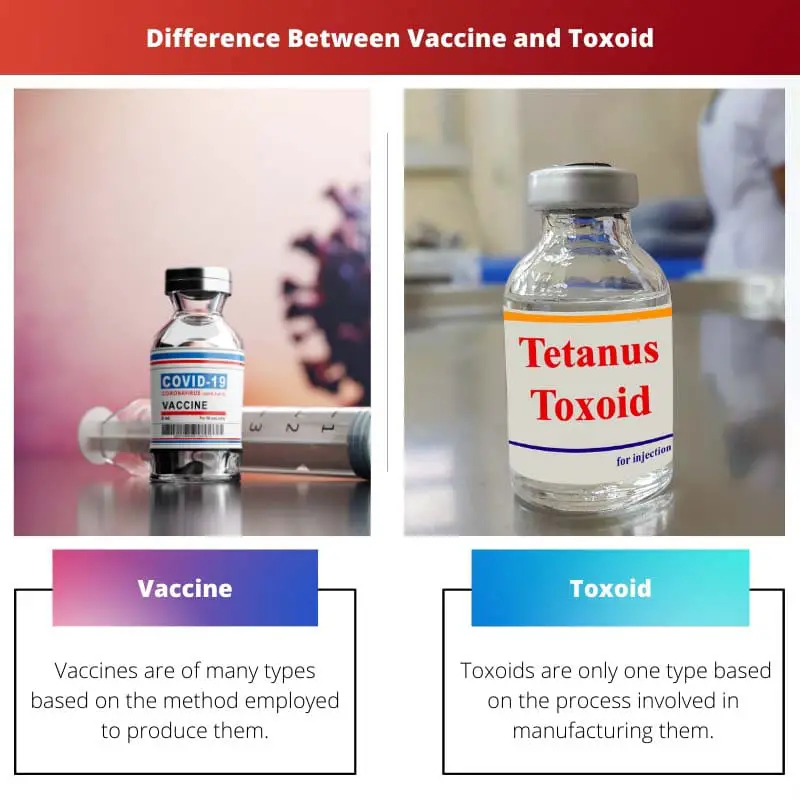 Difference Between Vaccine and
