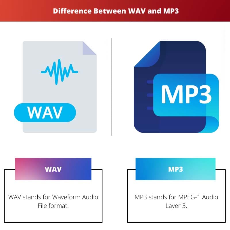 Difference Between WAV and MP3
