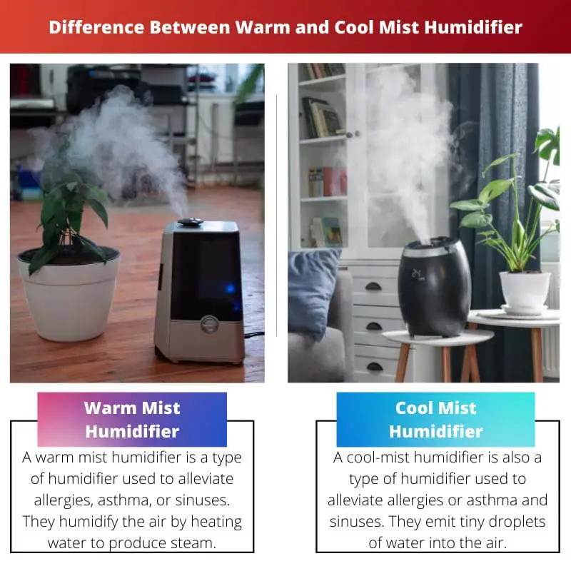 Difference Between Warm and Cool Mist Humidifiers