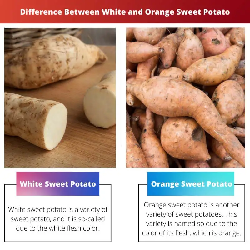 Difference Between White and Orange Sweet Potato