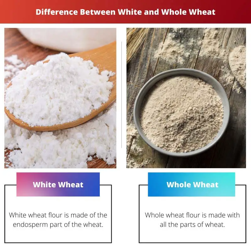 Difference Between White and Whole Wheat