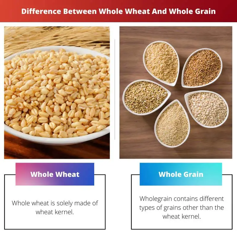 Difference Between Whole Wheat And Whole Grain