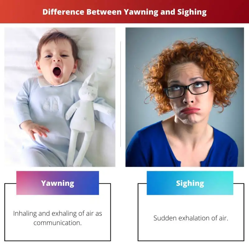 Difference Between Yawning and Sighing