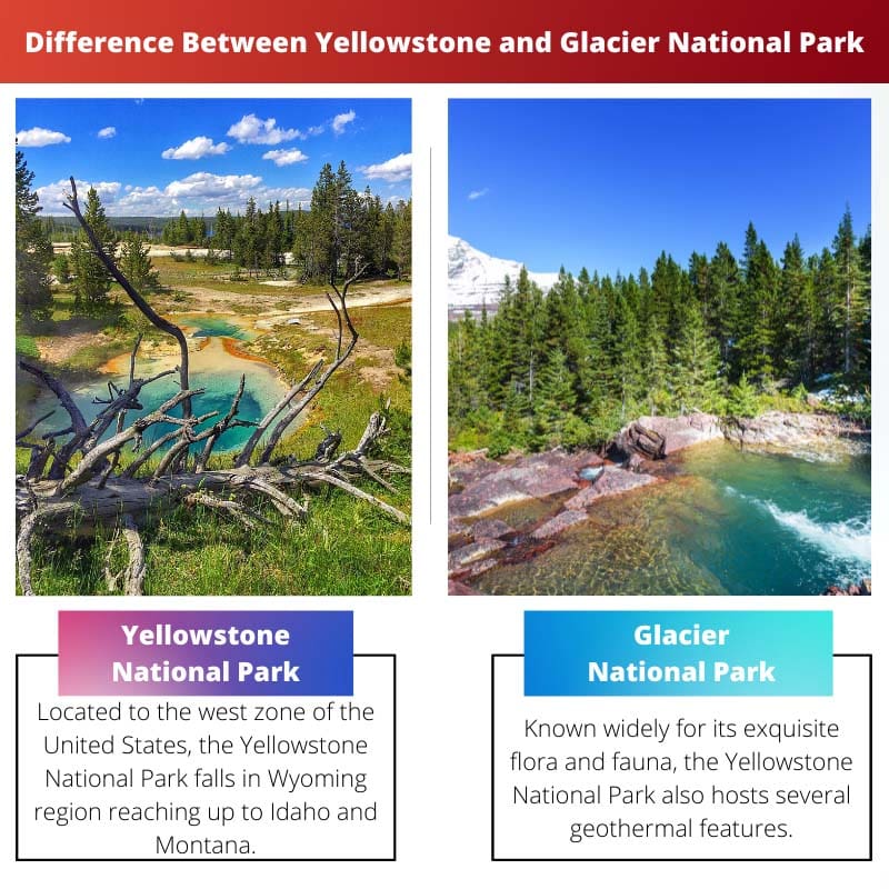 Difference Between Yellowstone and Glacier National Park