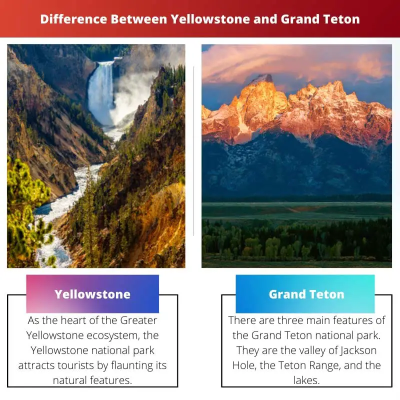 Difference Between Yellowstone and Grand Teton