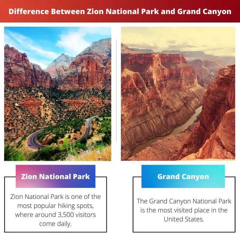 Difference Between Zion National Park and Grand Canyon