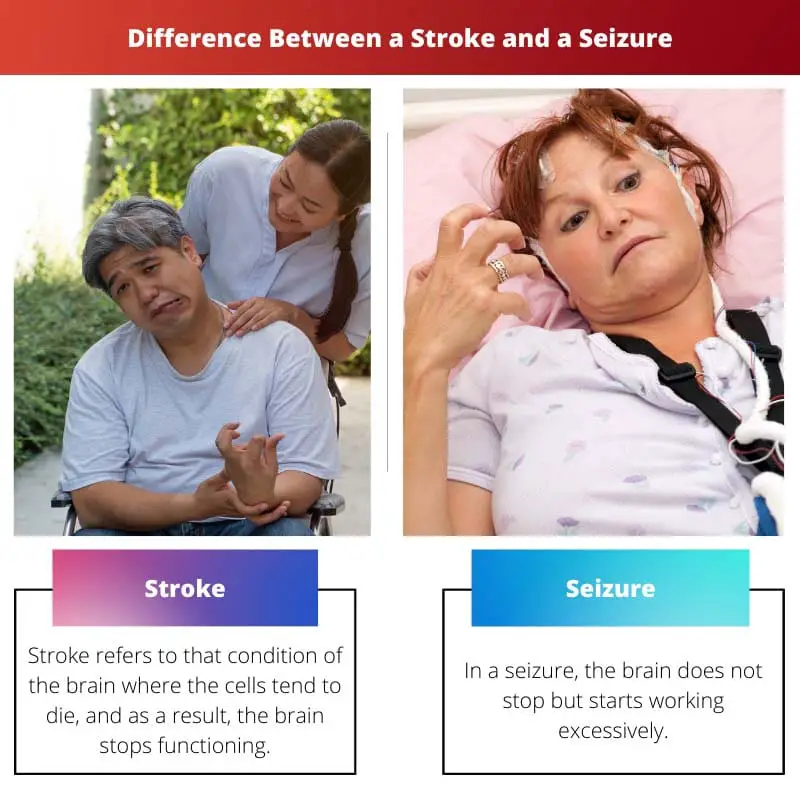 Difference Between a Stroke and a Seizure