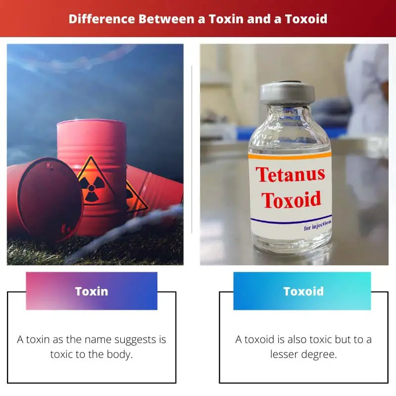 Difference Between a Toxin and a