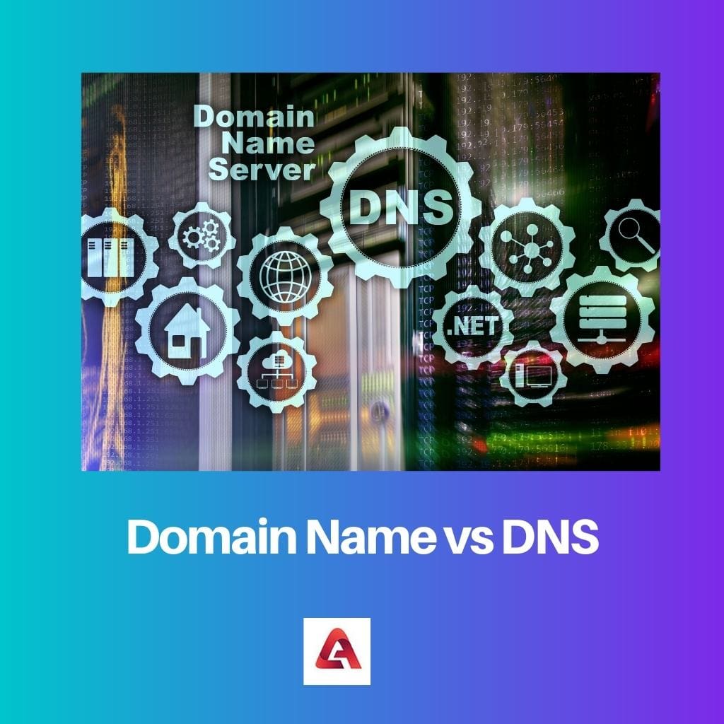 Domain Name vs DNS