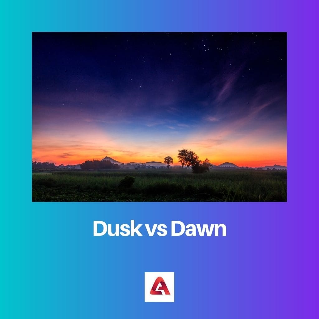 Dusk vs Dawn