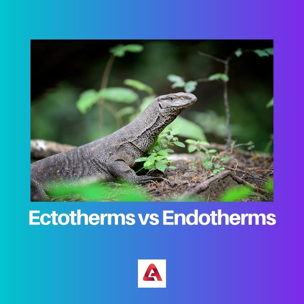 Ectotherms vs Endotherms